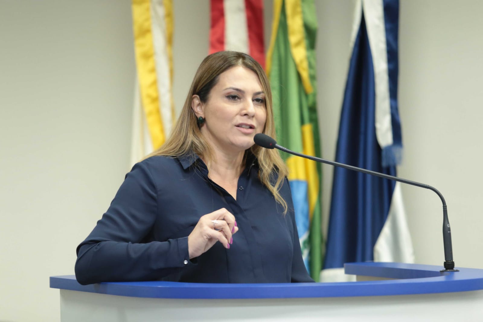 Reunião com a Coordenadora da Escola do Legislativo da Alesc