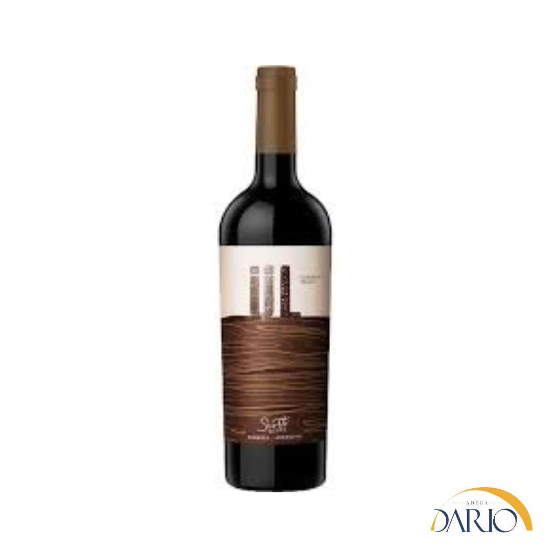 Scotti Ul Cabernet Franc 750ml