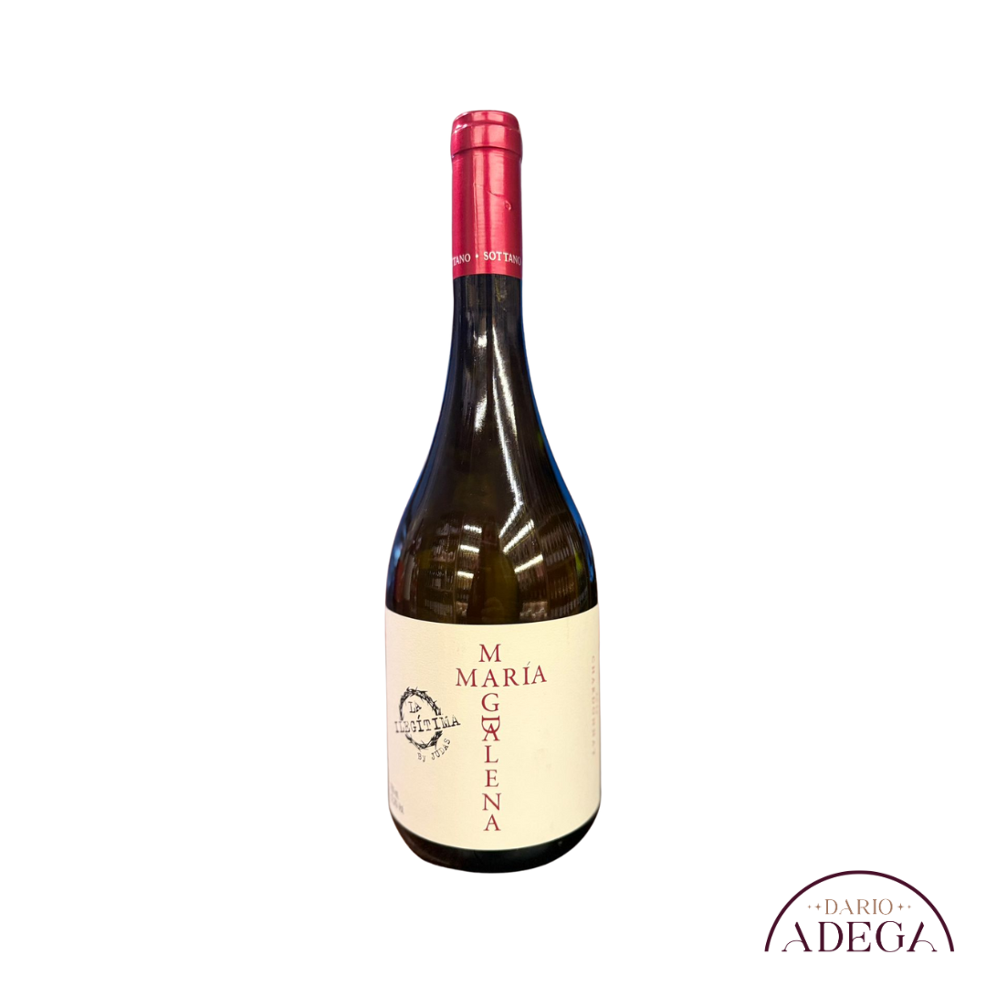 Vinho Maria Magdalena Chardonnay 750ml