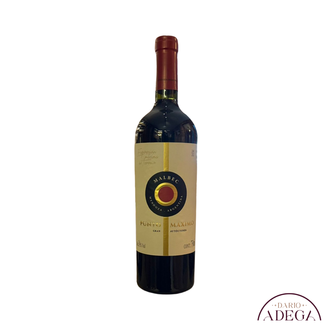 Vinho Punto Máximo Malbec 750ml