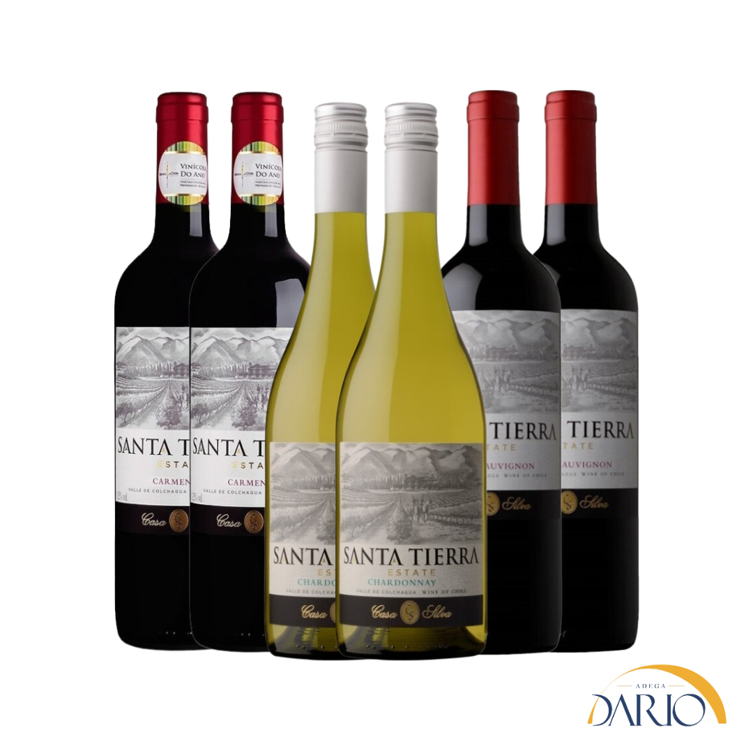 Kit com 06 Vinhos Casa Silva Santa Tierra