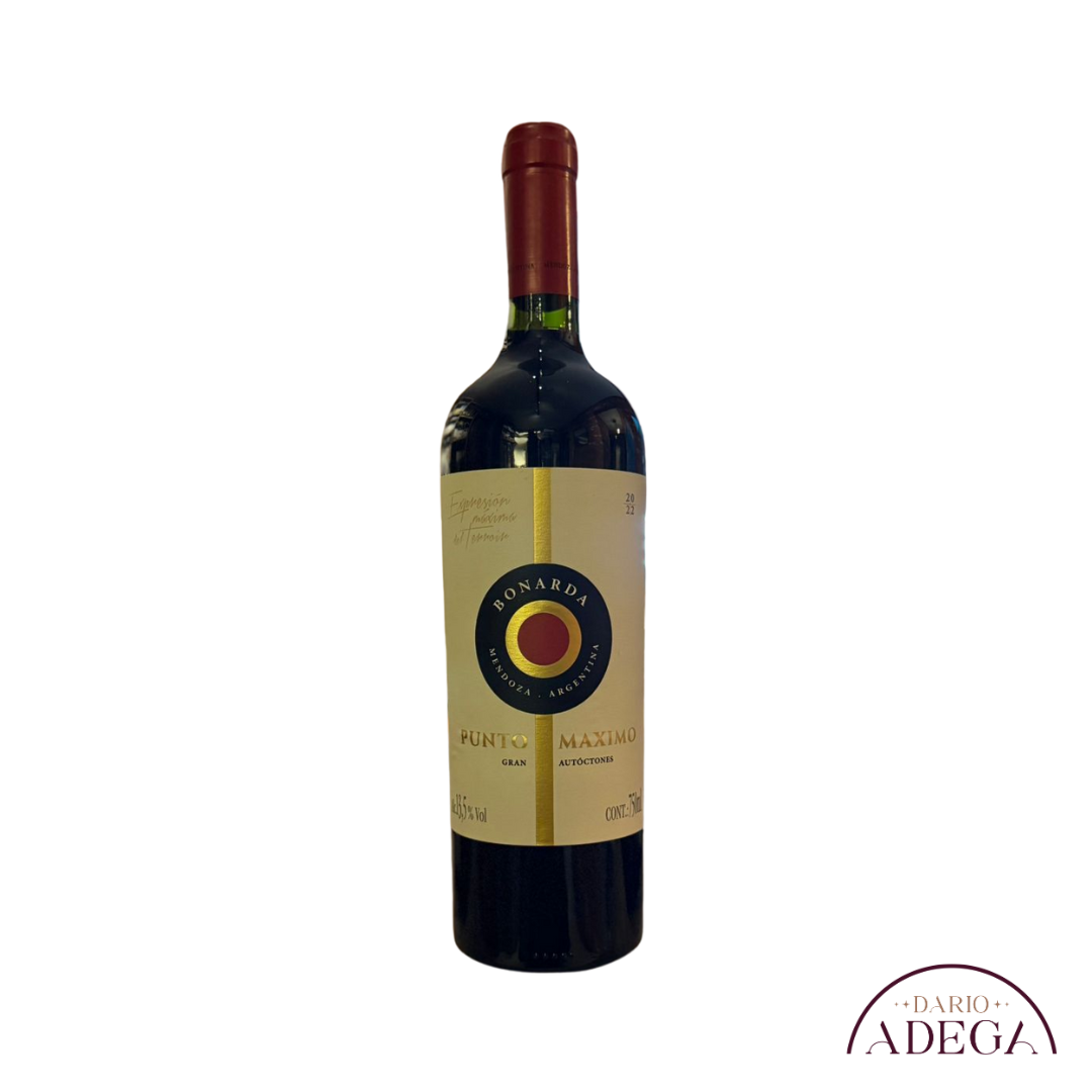 Vinho Punto Máximo Bonarda 750ml