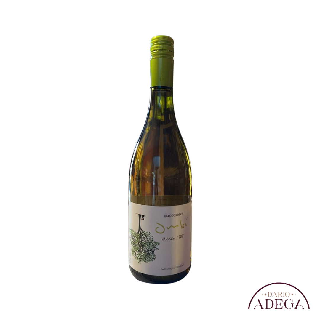 Vinho Branco Ombu Braccobosca Moscatel 750ml