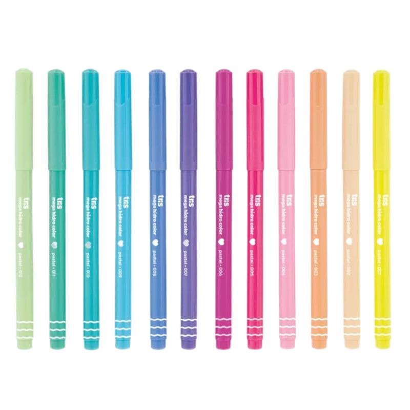 Canetinha Hidrocor Mega Hidro Tris 12 Cores Pastel