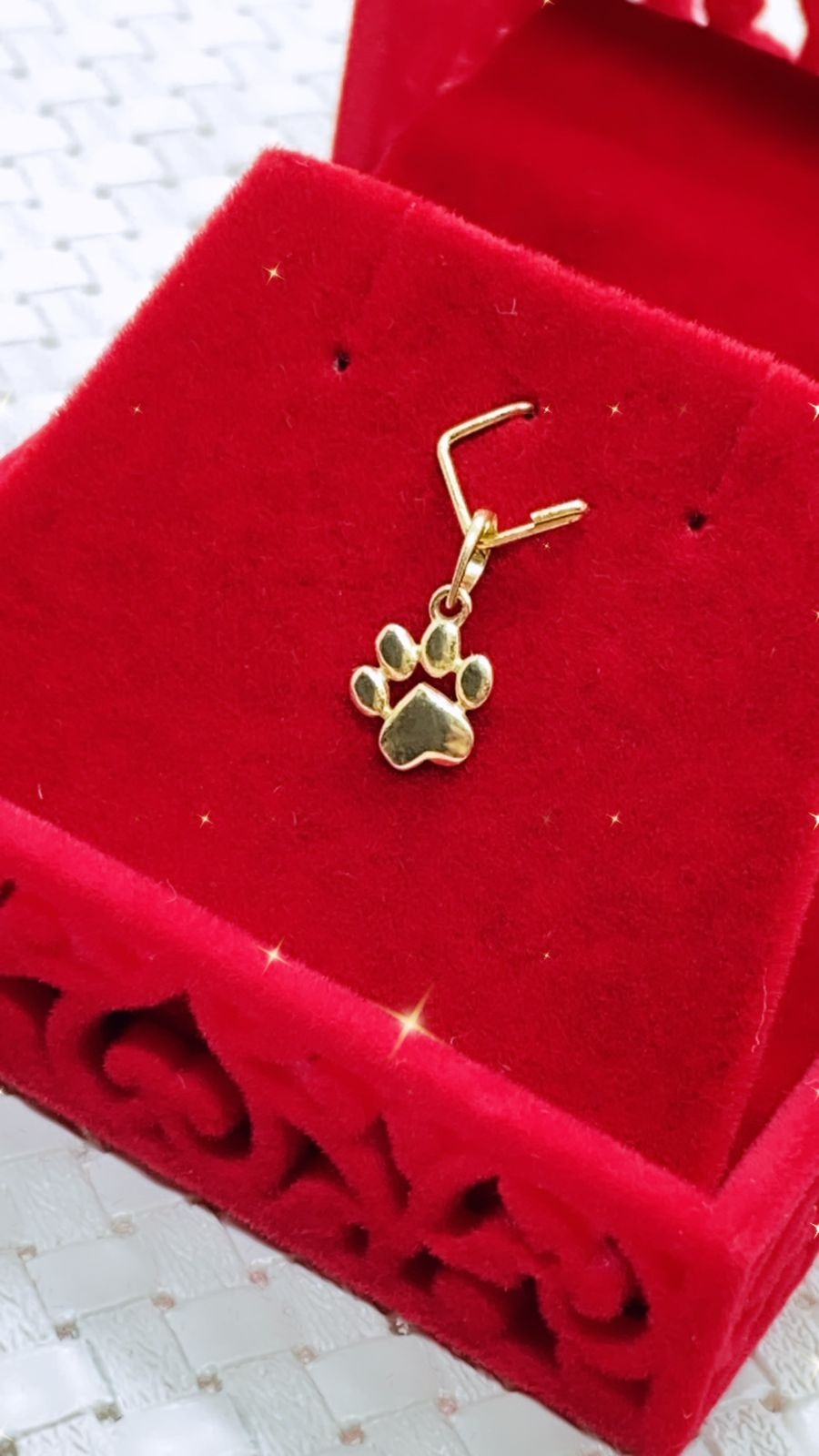 Pingente em Ouro 18k Patinha