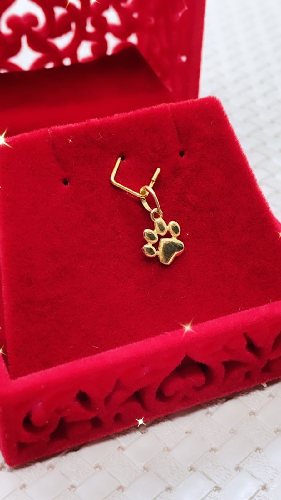 Pingente em Ouro 18k Patinha