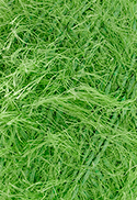 Barbante Barroco Decore Luxo 280gr Círculo - 553 - Greenery